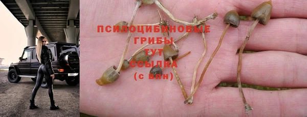 тгк Тобольск