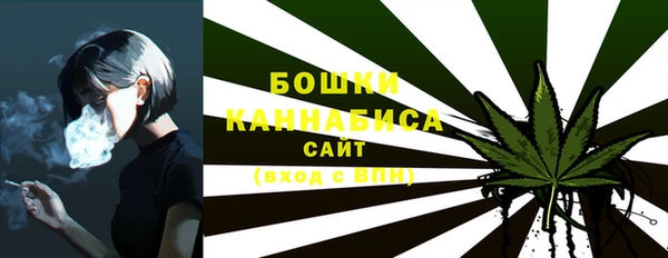 PSILOCYBIN Абаза