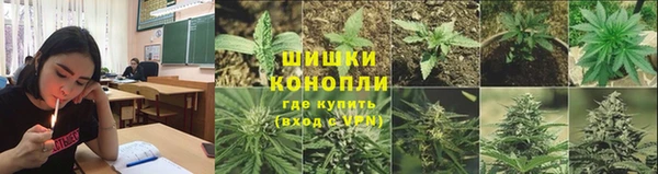 PSILOCYBIN Абаза